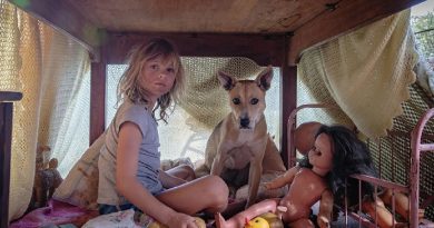 dont lets go to the dogs tonight