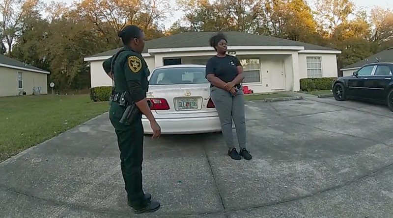 the perfect neighbour movie