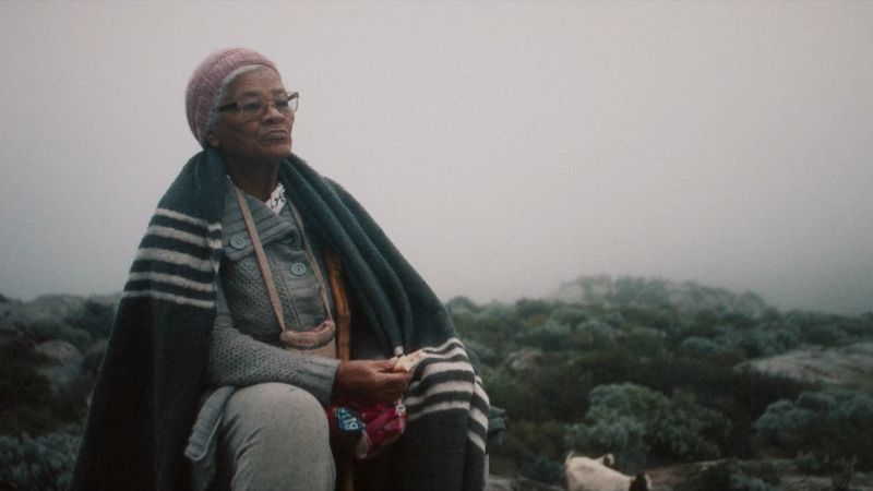 variations of a theme film