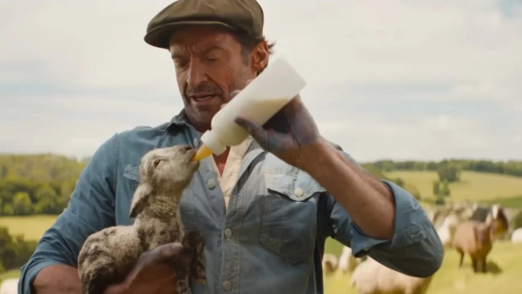 sheep detectives hugh jackman with lamb